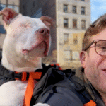 Bryan Reisberg: NYC's Doggy Backpacker Turning Streets into Adoption Hotspots