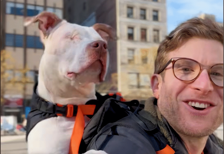 Bryan Reisberg: NYC's Doggy Backpacker Turning Streets into Adoption Hotspots