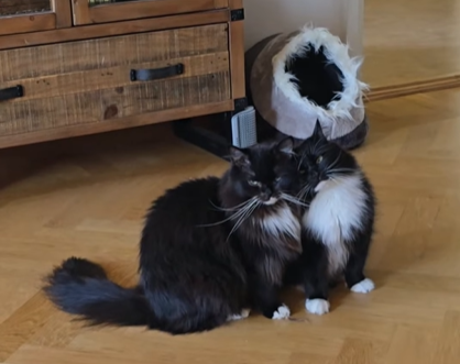 From Colony Life to a Permanent Home