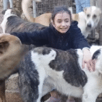11-Year-Old Lebanese Hero Retrieves Nine Puppies from Cave, Secures Their Safe Passage to Canada