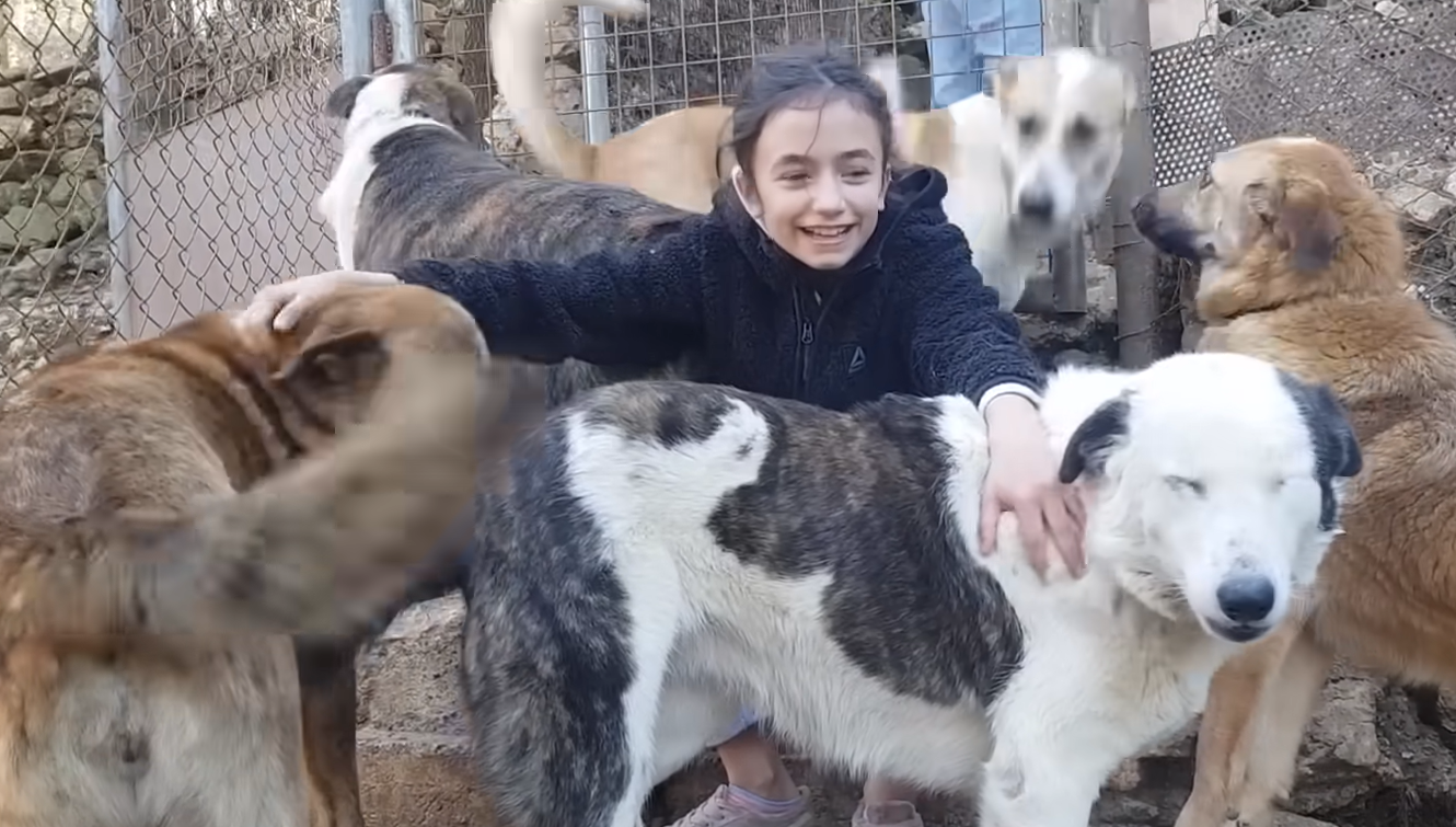 11-Year-Old Lebanese Hero Retrieves Nine Puppies from Cave, Secures Their Safe Passage to Canada