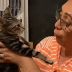 Viral Cat Adoption Twist: New Pet Snubs Owner for Grandma's Lap
