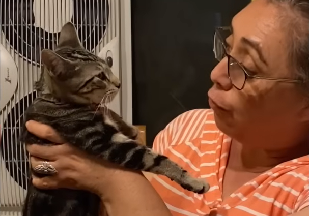 Viral Cat Adoption Twist: New Pet Snubs Owner for Grandma's Lap