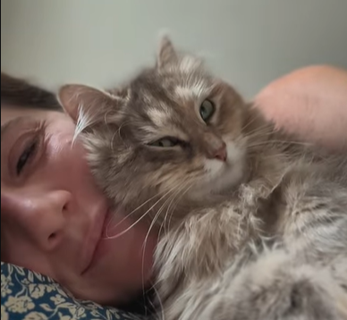 Woman Shares Emotional Insight About Her Loyal Cat - 'She's Always By My Side'