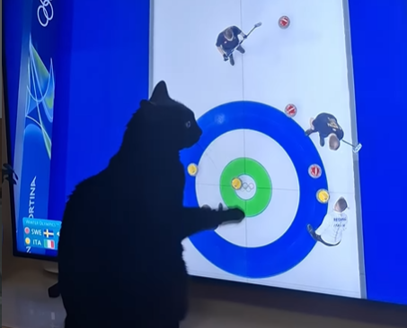 What This Cat Does While Owner Watches the Winter Olympics Is Pure Comedy Gold