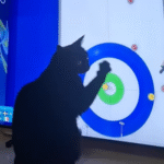 What This Cat Does While Owner Watches the Winter Olympics Is Pure Comedy Gold