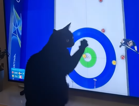 What This Cat Does While Owner Watches the Winter Olympics Is Pure Comedy Gold