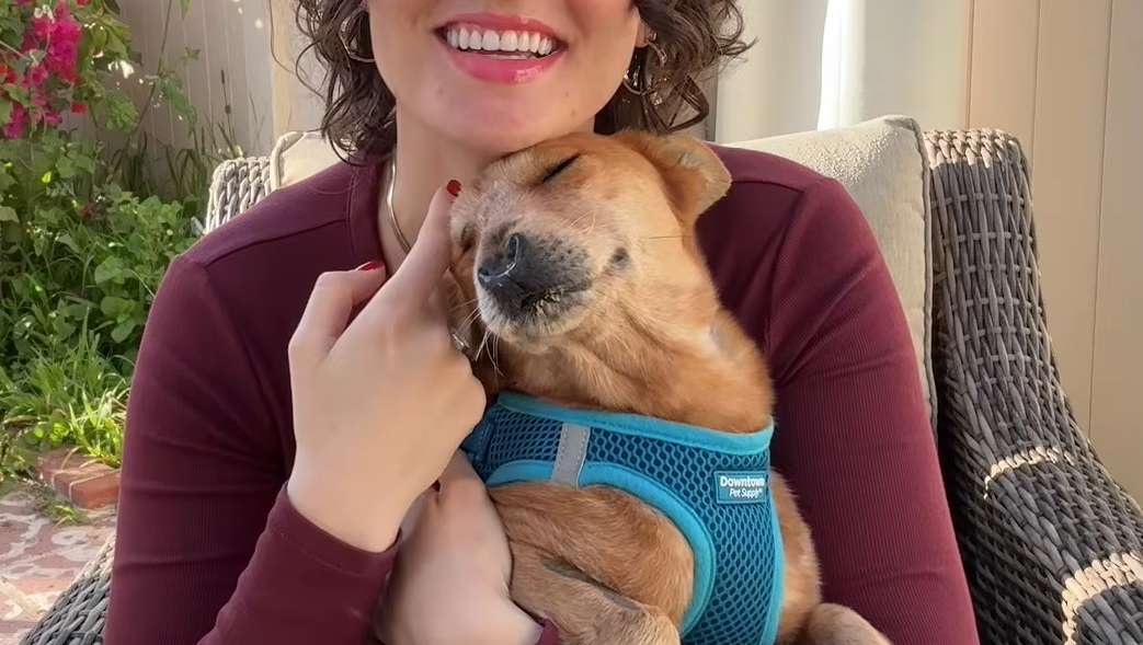 Rescue Dog's Cat-Like Purring Melts Hearts Worldwide