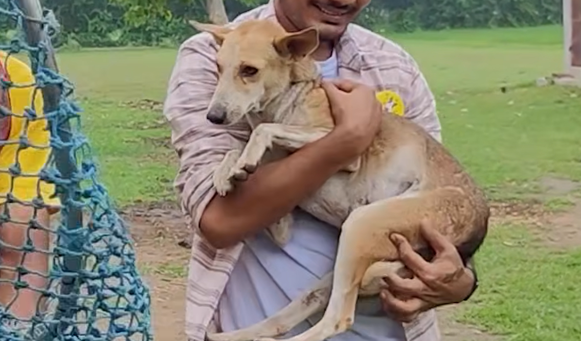 Stray Dog's Tail-Wags in Instant Gratitude After 30-Foot Well Rescue