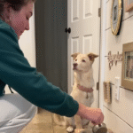 Rescue Dog Honeydew's Pre-Meal Kisses to Mom Spark Global Wave of Animal Adoption Inspiration