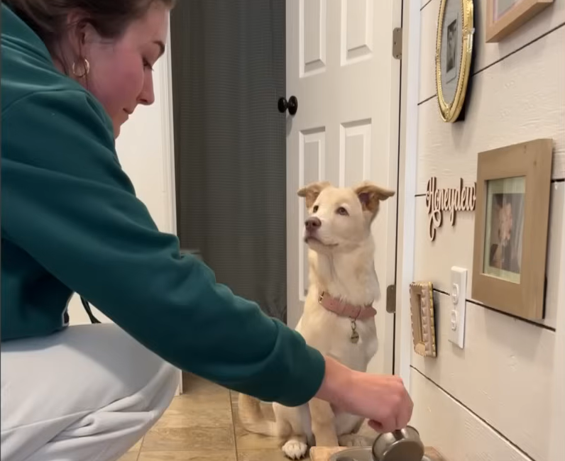 Rescue Dog Honeydew's Pre-Meal Kisses to Mom Spark Global Wave of Animal Adoption Inspiration