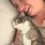 Woman Believes Her Cat Is Playing Dead - Then Discovers He's Gravely Ill