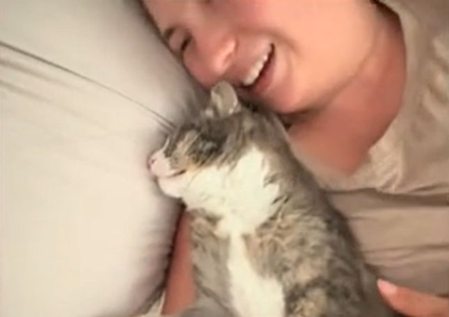 Woman Believes Her Cat Is Playing Dead - Then Discovers He's Gravely Ill
