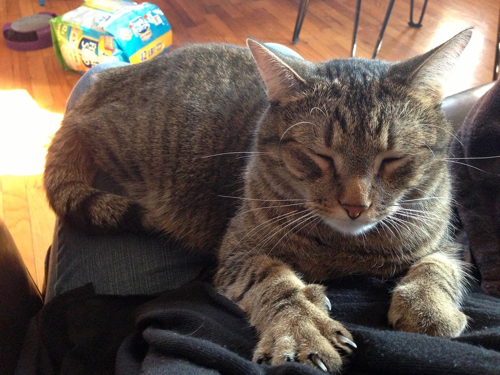 "Making Biscuits" - Kneading Is Pure Nostalgic Love 