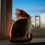 5. Open Windows Give Their Nose a Full Sensory Workout