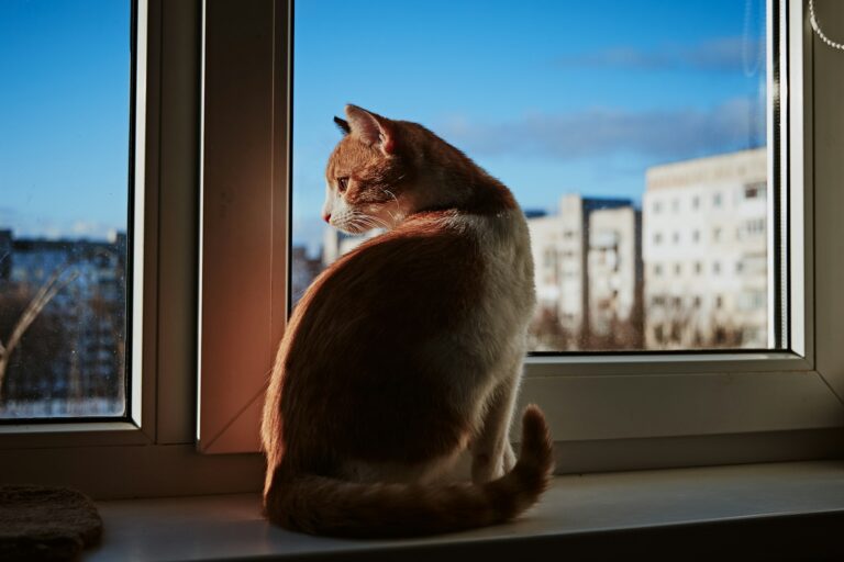 5. Open Windows Give Their Nose a Full Sensory Workout
