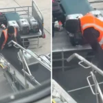 Forced to Send Cats in Cargo, Rescuer Is Moved to Tears by Staff's Actions