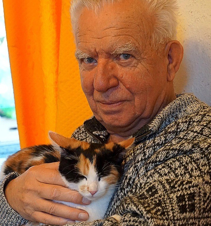 Cats and Cognitive Health: A Surprising Connection