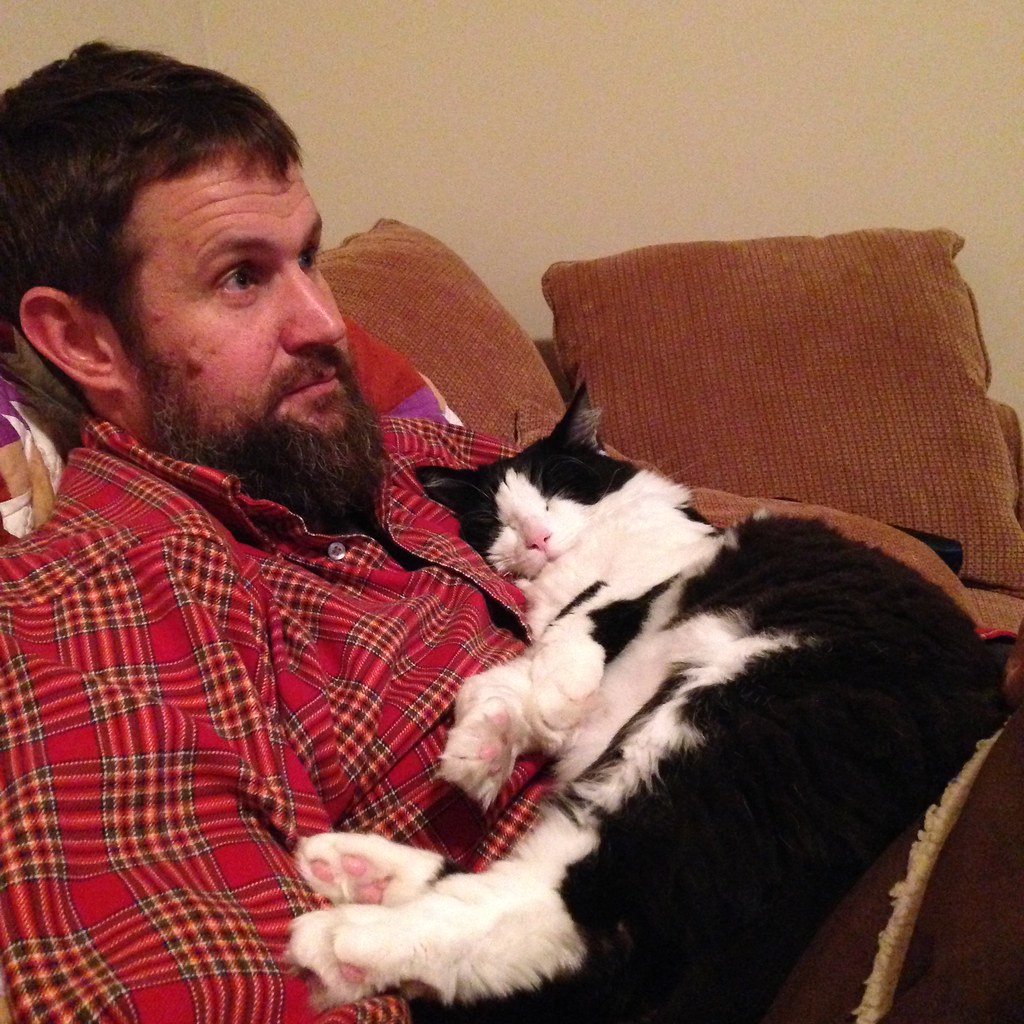 Sleeping on Your Chest - A Bond That Goes Back to Kittenhood