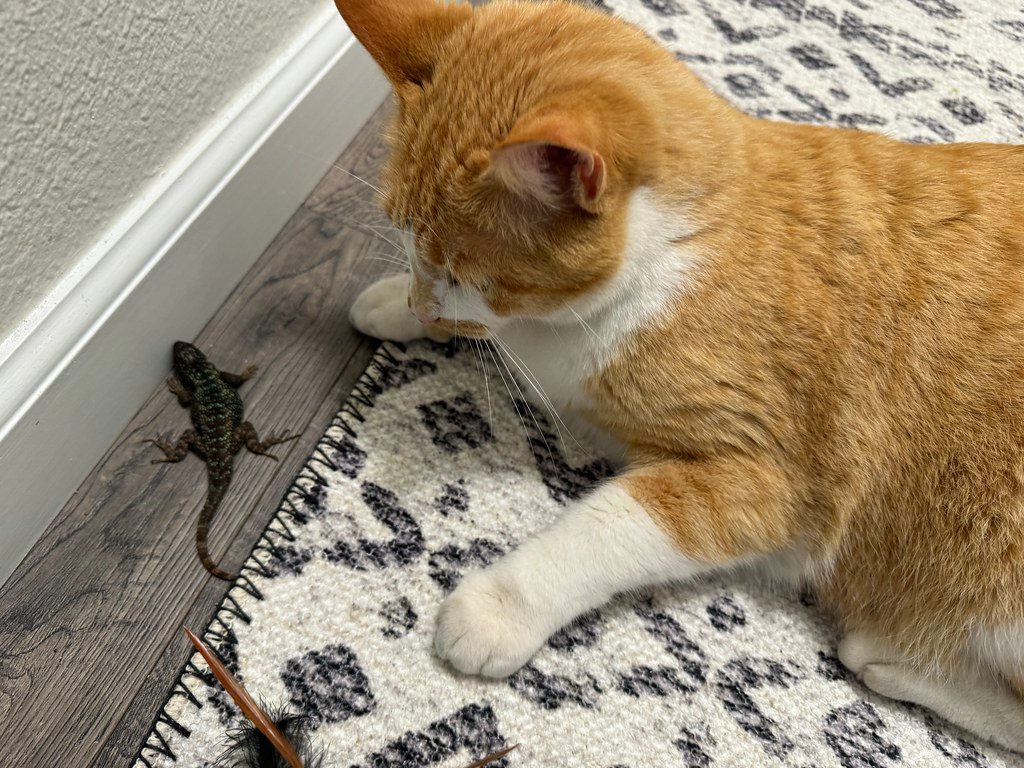 Understanding Makes All the Difference