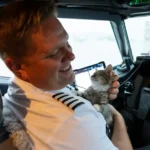Southwest Captain's Onboard Adoption of Kitten Highlights 145-Animal Hurricane Rescue