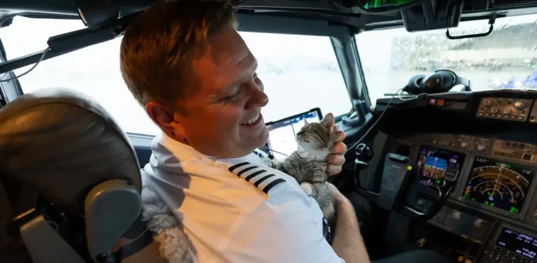Southwest Captain's Onboard Adoption of Kitten Highlights 145-Animal Hurricane Rescue