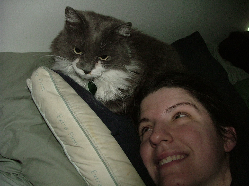Sleeping Near Your Head - Heat, Scent, and Deep Familiarity