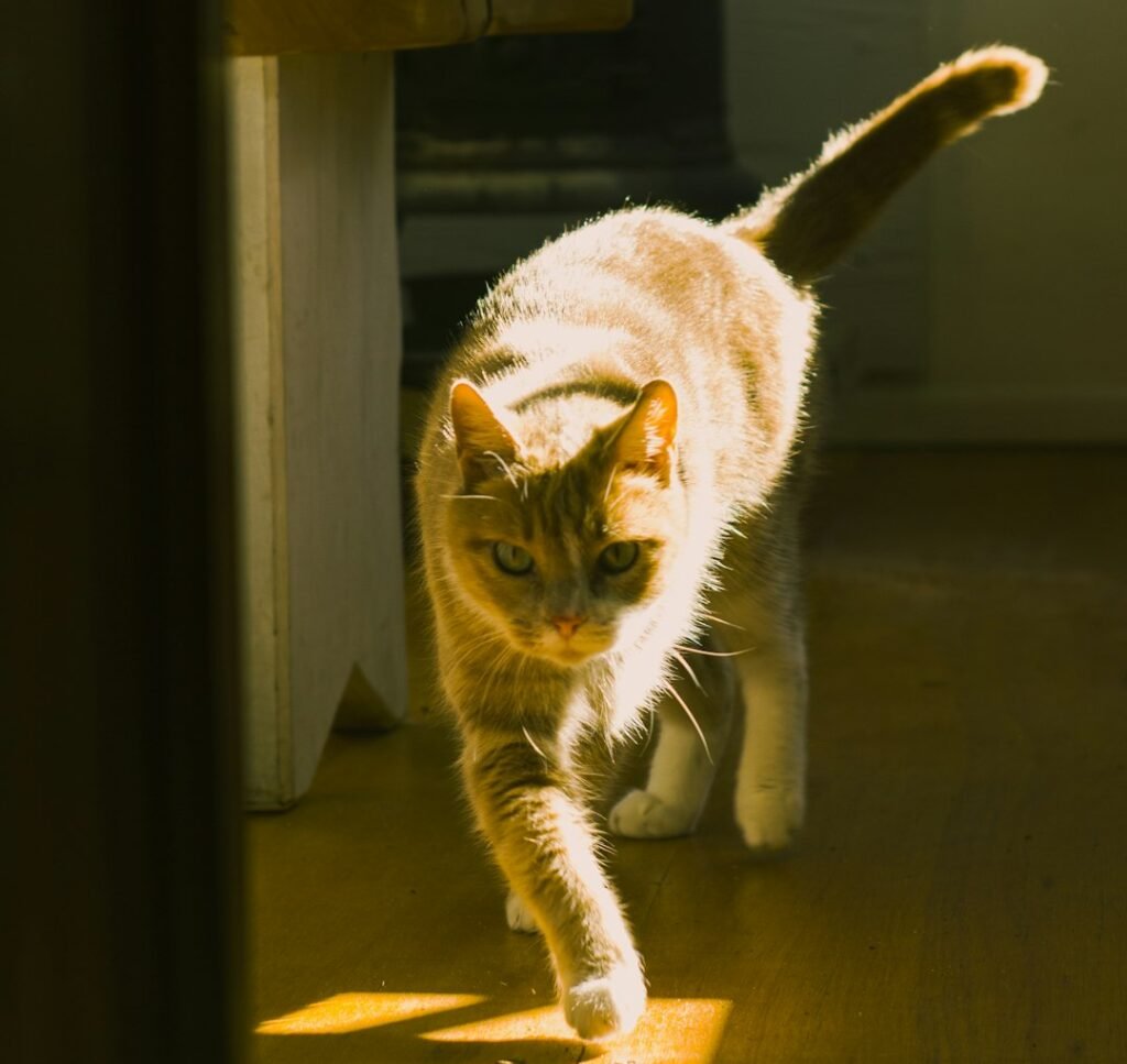 The Bigger Picture We're Missing