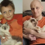 20 Years of Devotion: Man Captures Final Moments with Childhood Cat in Poignant Photo Recreate