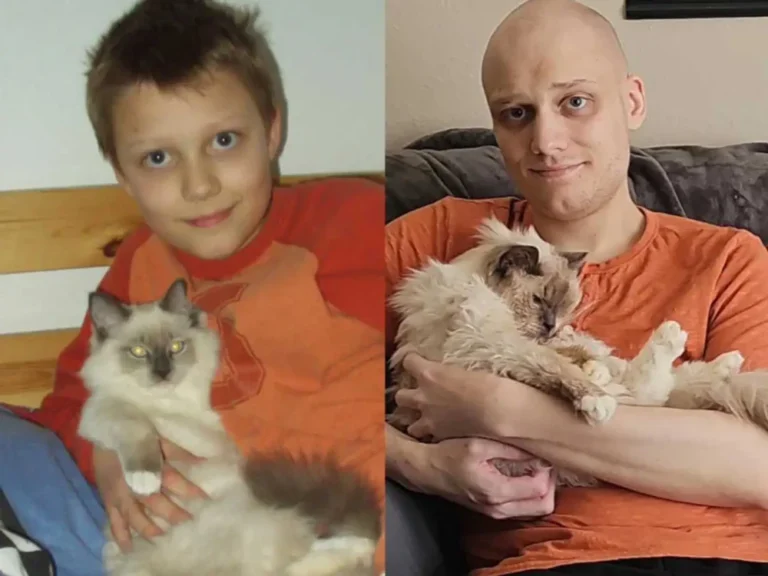 20 Years of Devotion: Man Captures Final Moments with Childhood Cat in Poignant Photo Recreate
