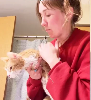 Woman Turns On Washing Machine—Moments Later, ‘Intense’ Screams Erupt from Inside