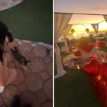 Woman Keeps Petting Stray Cat - Unaware of the Surprise Lurking Behind Her