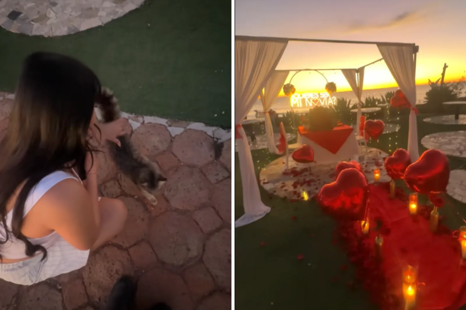 Woman Keeps Petting Stray Cat - Unaware of the Surprise Lurking Behind Her