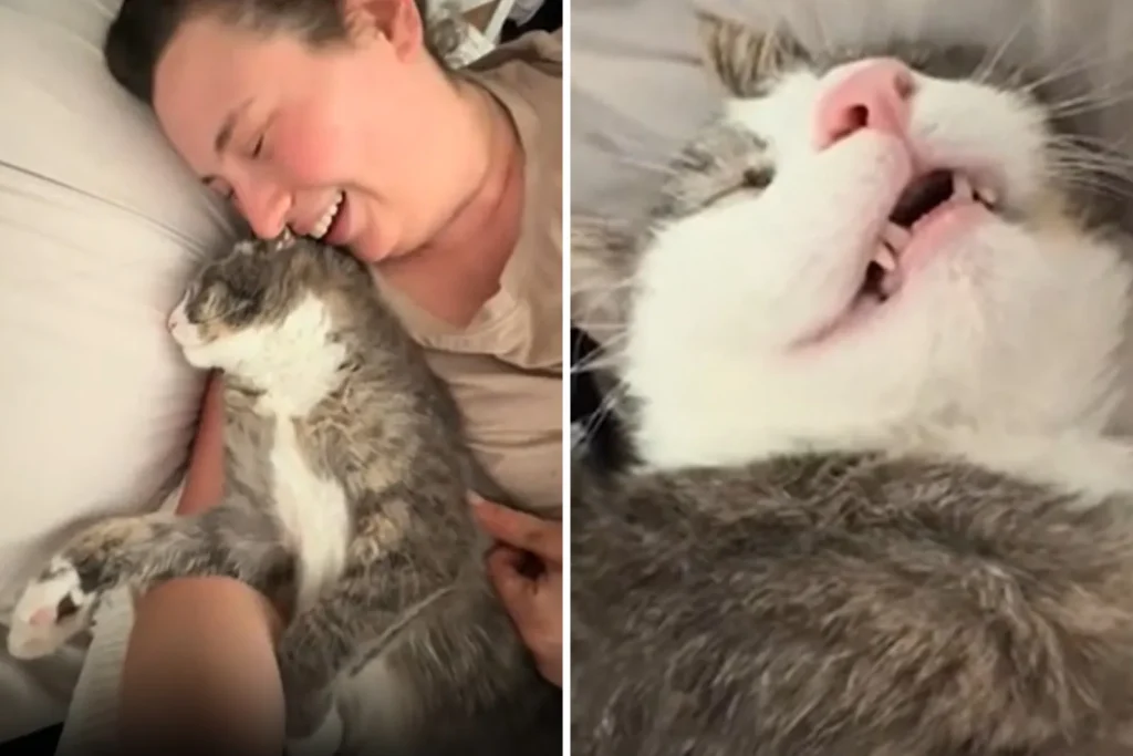 Woman Believes Her Cat Is Playing Dead - Then Discovers He's Gravely Ill