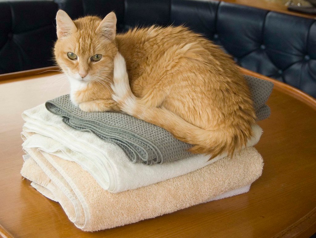 Territory Marking: You Are Officially Claimed 