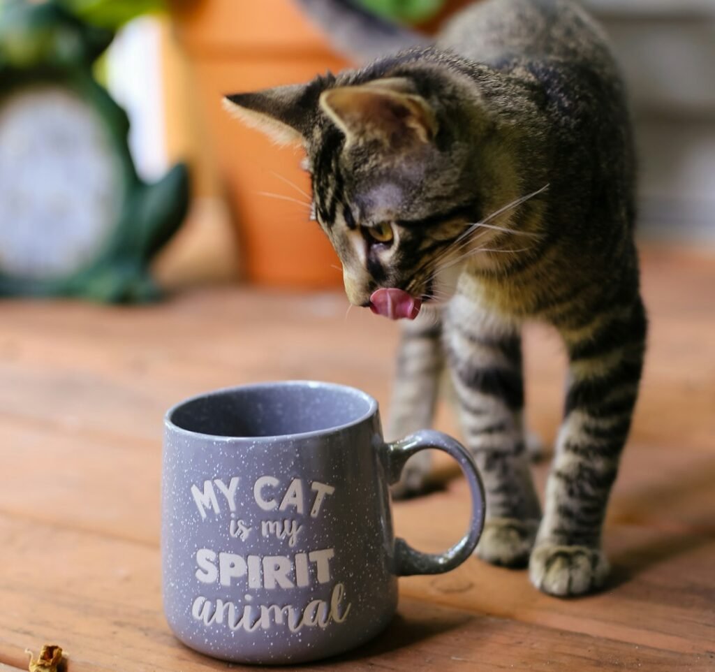 3. Knocking Your Stuff Off the Table, Deliberately and Without Remorse 