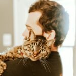 Why Do Cats Seem to Understand Our Moods Without a Single Word?