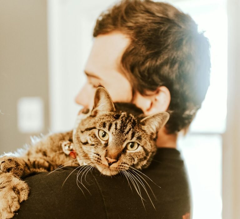 Why Do Cats Seem to Understand Our Moods Without a Single Word?