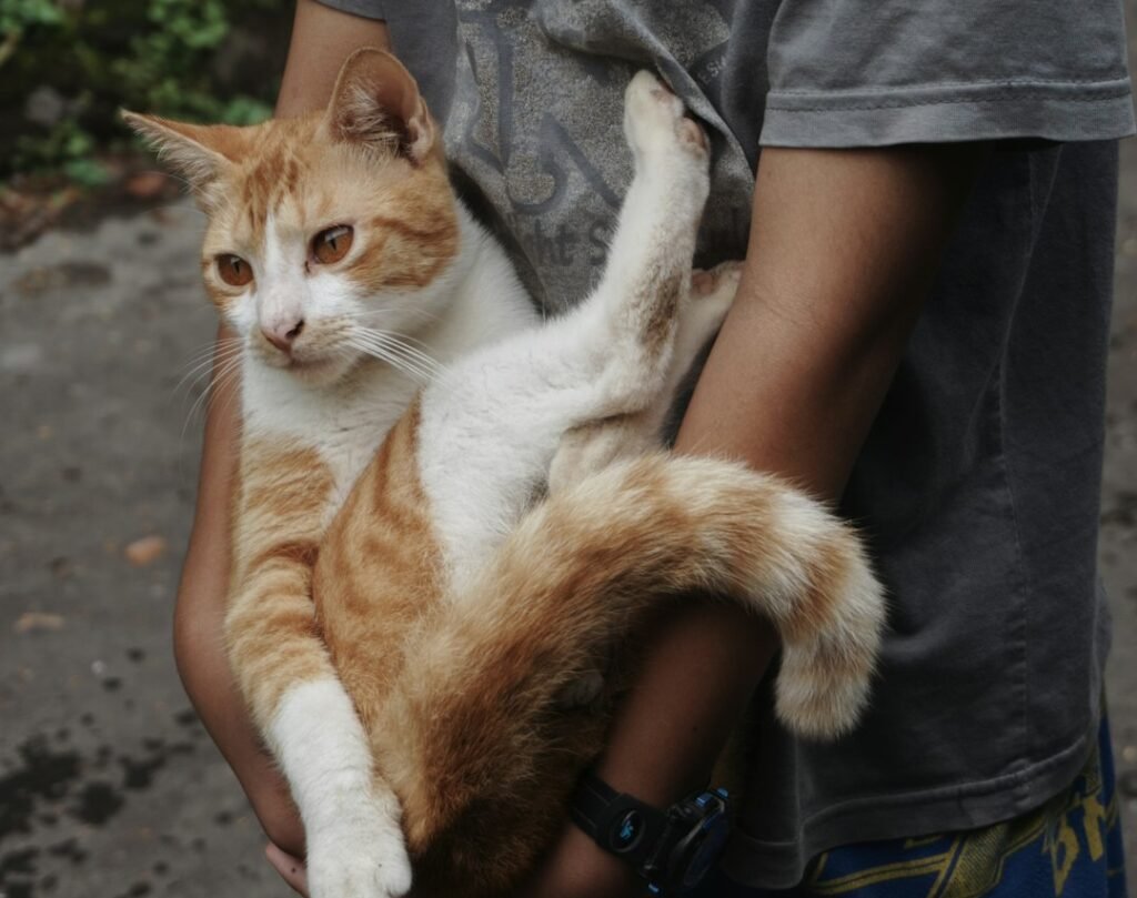 7. The Tail Wrap Hug