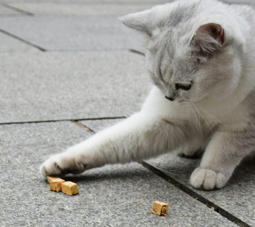 Rule Eight: Dropped Food Belongs to the Kingdom 