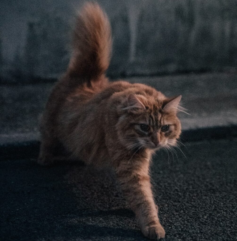 The Hunting Instinct That Never Left