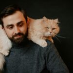 The Myth of the 'Uncaring' Cat: Why Their Affection Is Just Different
