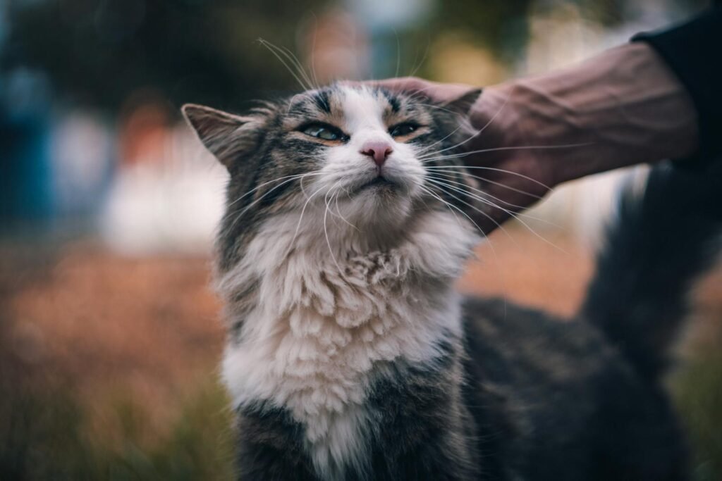 You Can Actually Talk Back 