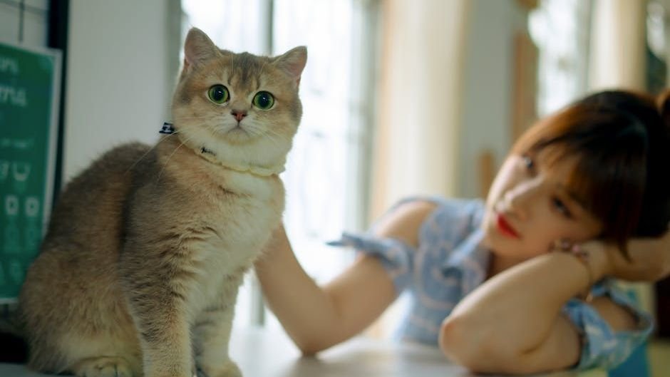 Cats Form Bonds Differently: Understanding Their Unique Attachment Styles