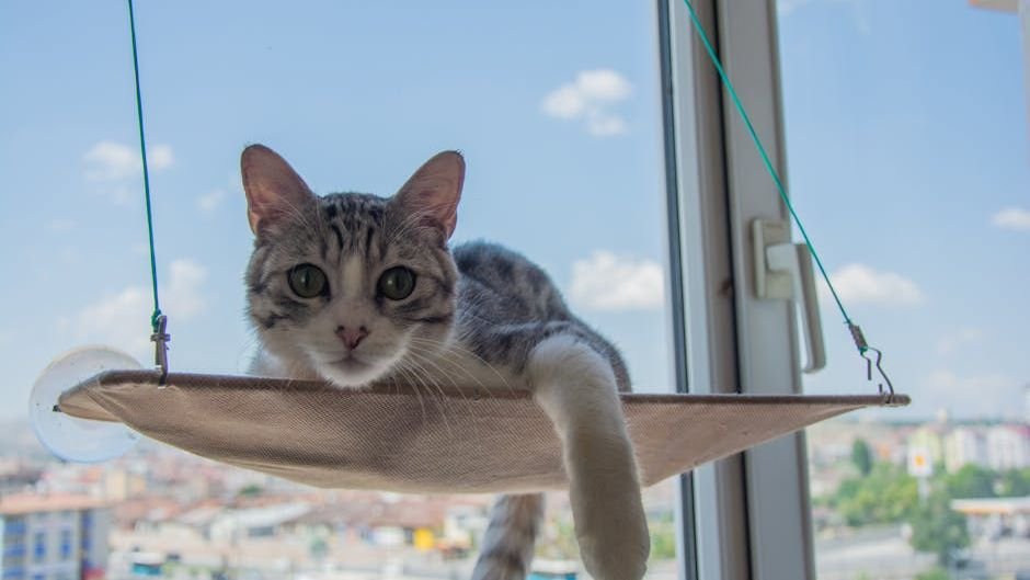 7 Expert Tips for Creating the Ultimate Cozy Cat Environment