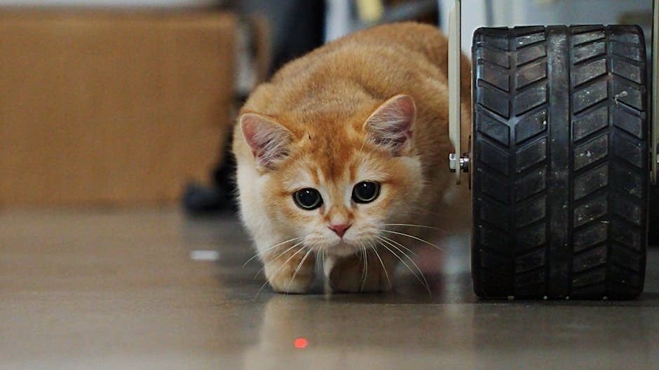 Why Your Cat 'Hunts' Household Objects: More Than Just Playtime