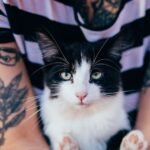 10 Unexpected Ways Cats Show They've Adopted You (Not the Other Way Around)