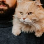 Cats Born Under a Capricorn Sign Are the Most Loyal Companions