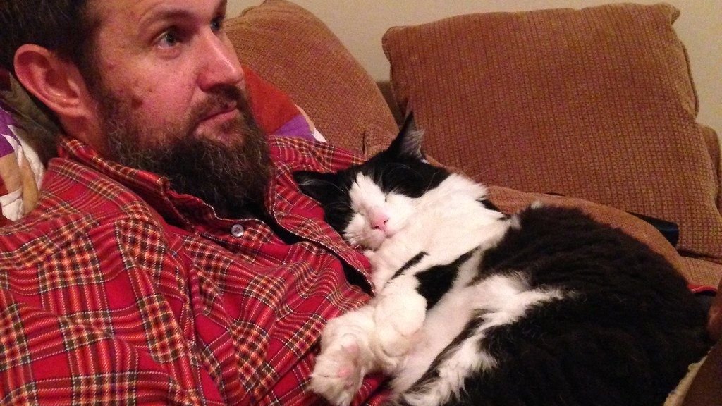 Why Does Your Cat Sleep on Your Chest (The Comfort Signal Hidden in This Behavior)