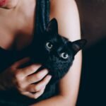 Your Cat Knows Your Mood Before You Do: Here's How They React